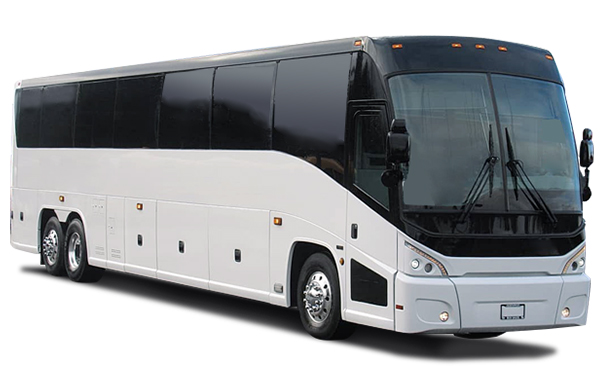 Our Fleet Coach Bus